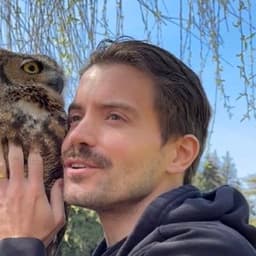 Guillermo Rauch profile picture