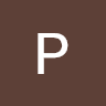 Pavel P avatar
